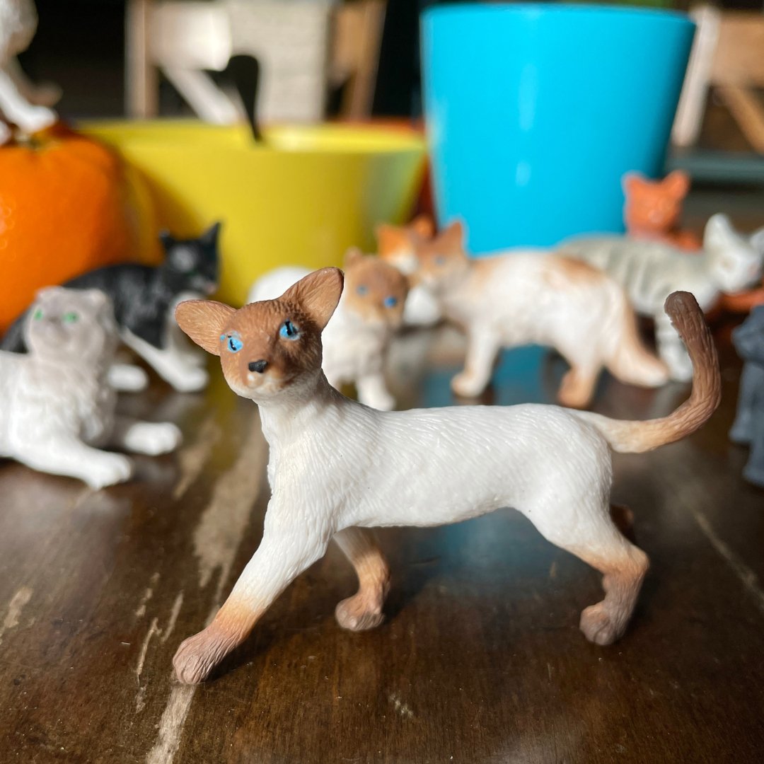 Safari Ltd: figurki w tubie koty domowe Cats Toob 11 szt.