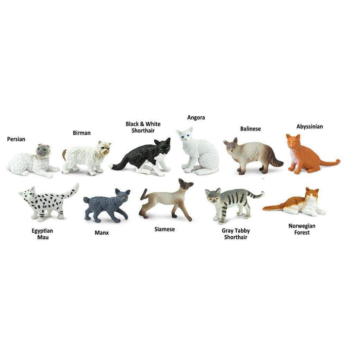 Safari Ltd: figurki w tubie koty domowe Cats Toob 11 szt.