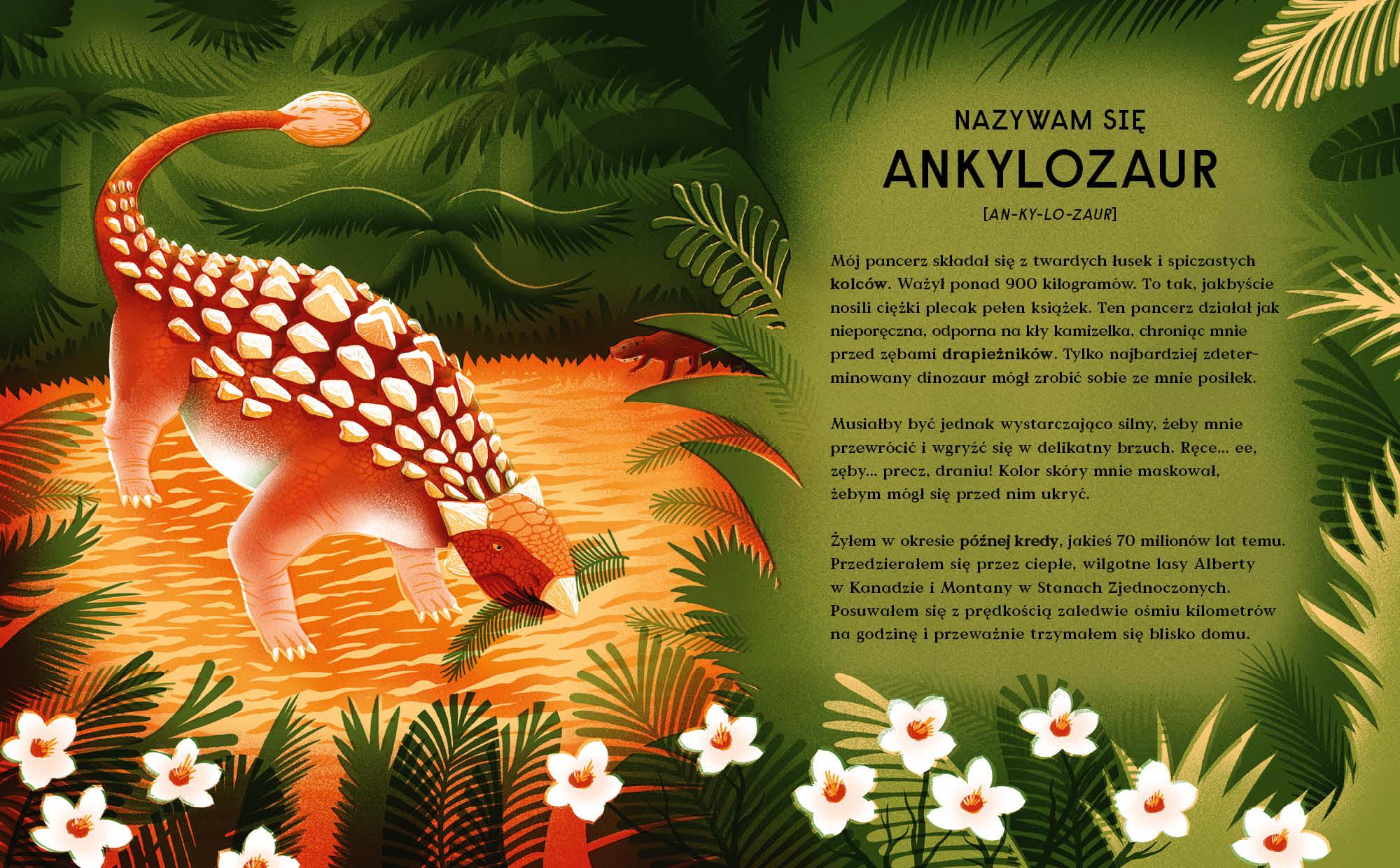 Wydawnictwo Kropka: Księga dinozaurów - Noski Noski
