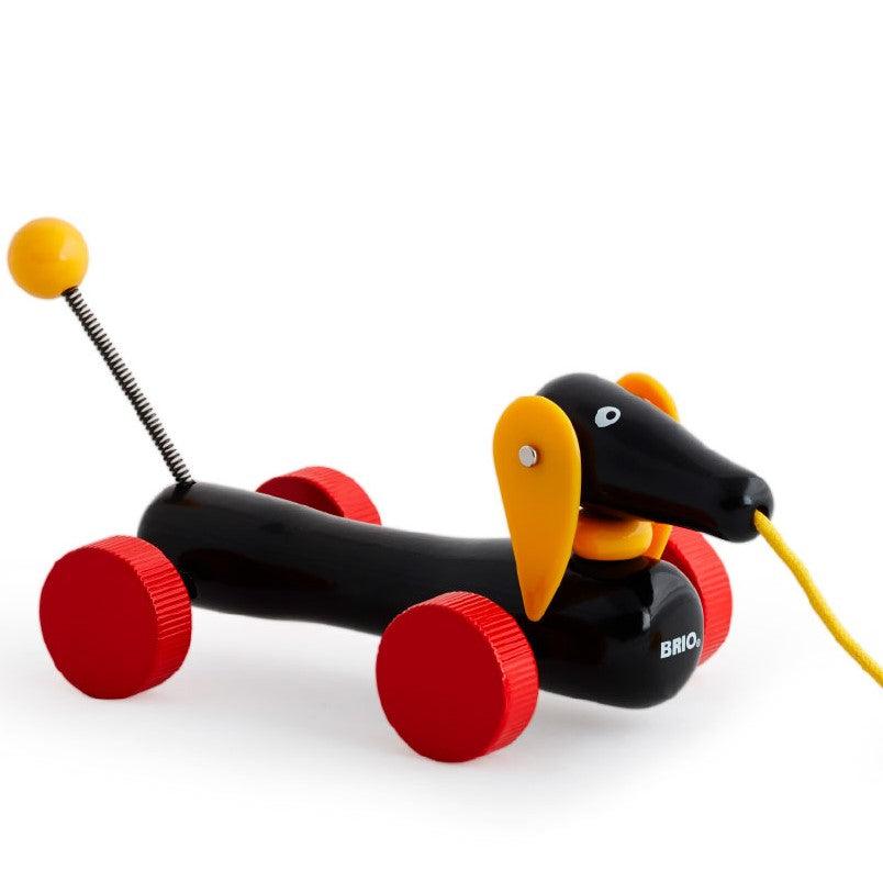 BRIO: jamnik do ciągnięcia Pull Along Dachshund - Noski Noski