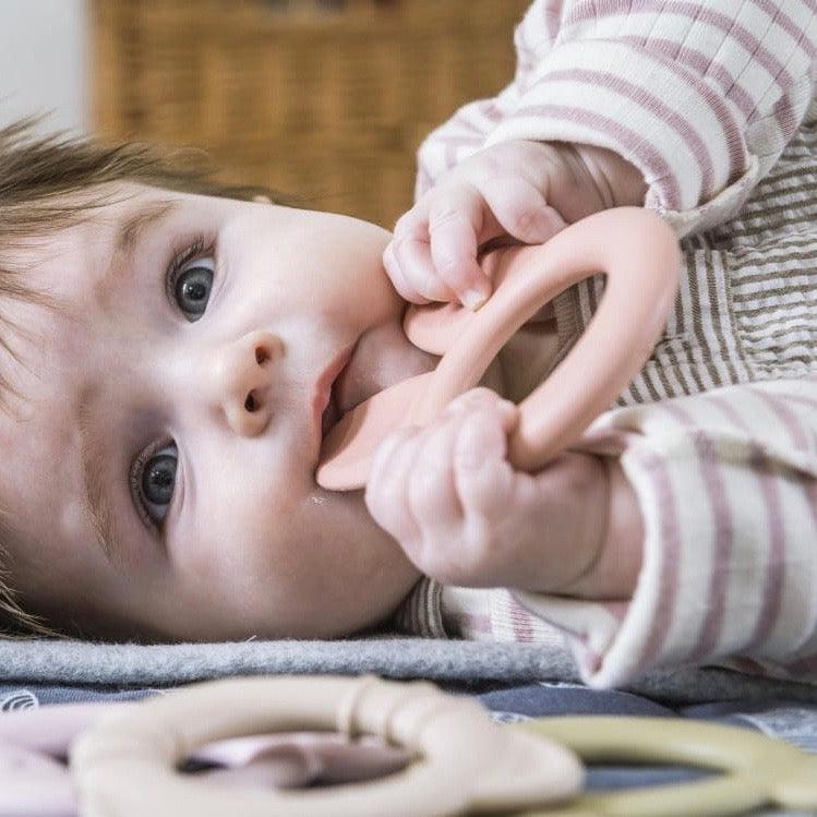 Dantoy: eko gryzaki z trzciny cukrowej BIOplastic 3 szt. - Noski Noski