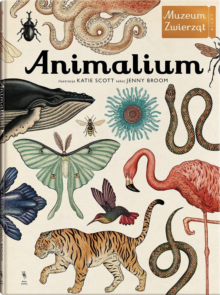 Dwie Siostry: Animalium - Noski Noski