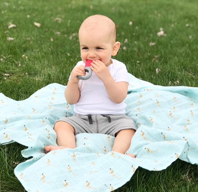 Innobaby: silikonowy gryzak klejnot Birthstone Teether Ring - Noski Noski