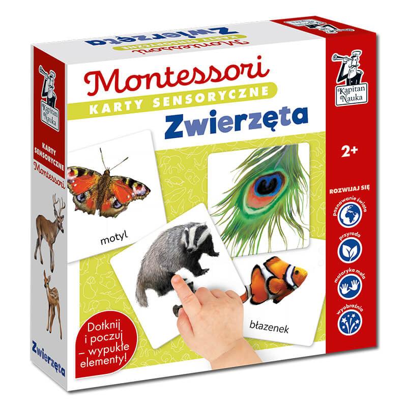 Kapitan Nauka: Montessori. Karty sensoryczne Zwierzęta 2+ - Noski Noski