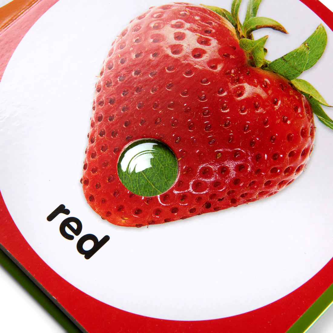 Melissa & Doug: książeczka z przyciskami Poke-a-Dot First Colours - Noski Noski
