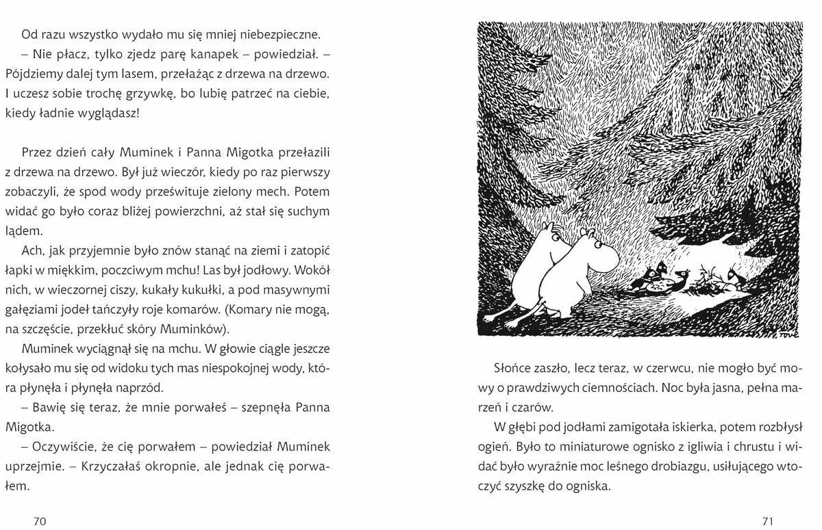 Nasza Księgarnia: Lato Muminków - Noski Noski