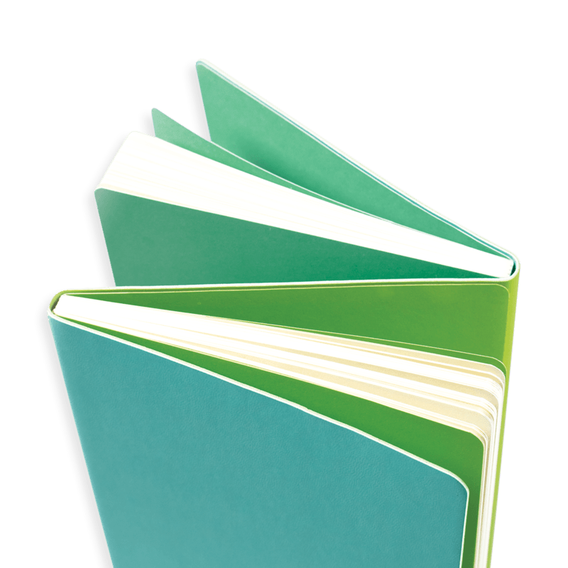 Ooly: dwustronny notatnik 2-in-1 Flipside Notebook - Noski Noski