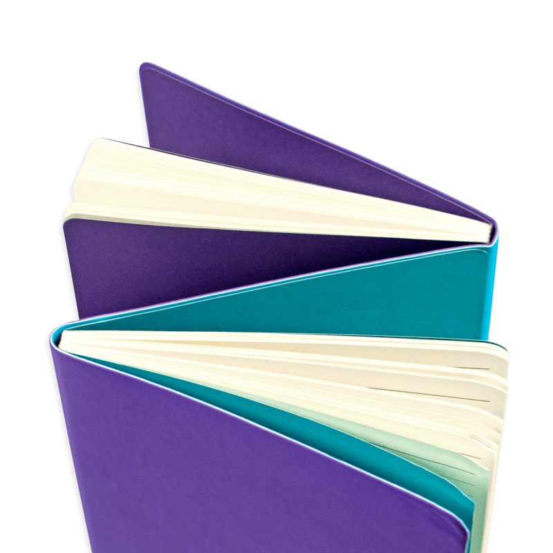 Ooly: dwustronny notatnik 2-in-1 Flipside Notebook - Noski Noski