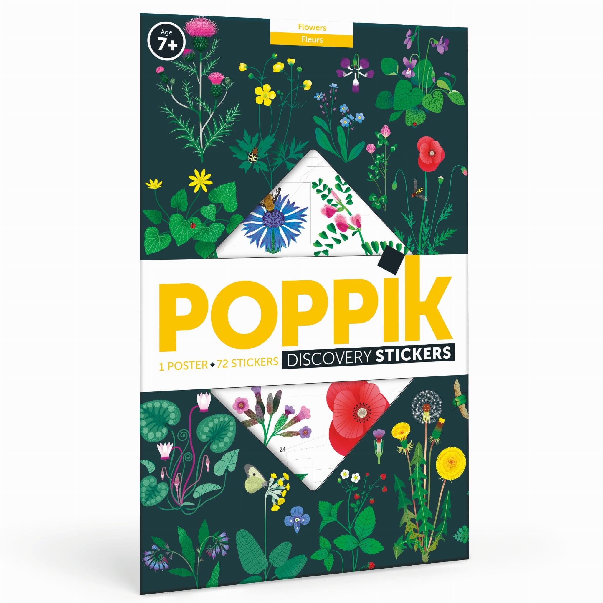 Poppik: plakat wyklejanka Botanika - Noski Noski