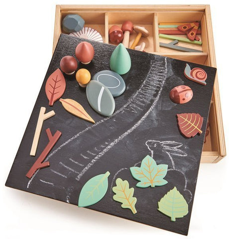 Zestaw kreatywny dla dzieci Tender Leaf Toys Leśne skarby drewniana skrzynka - zabawka edukacyjna.