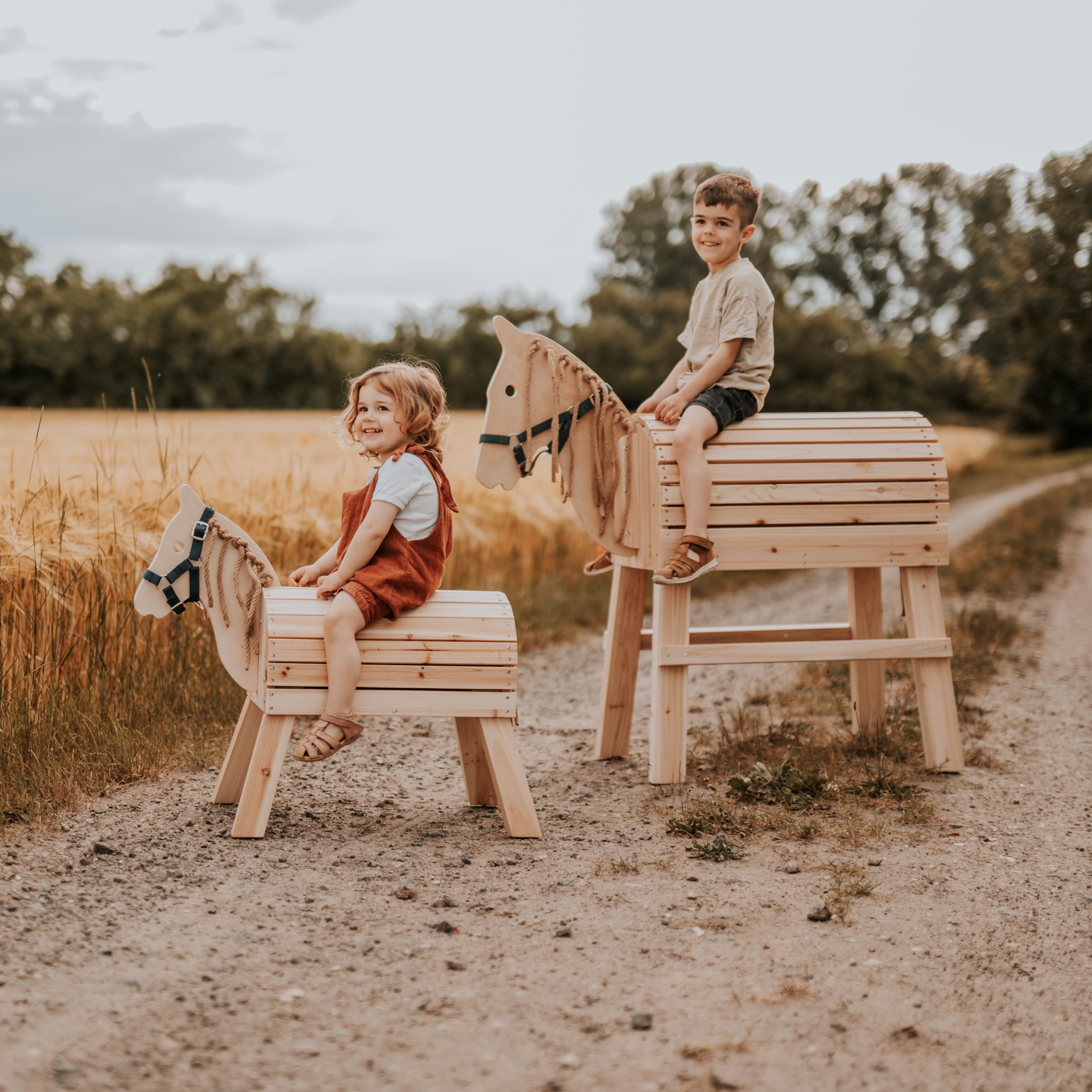 Маленька нога: дерев'яний компактний кінь для дітей на відкритому повітрі