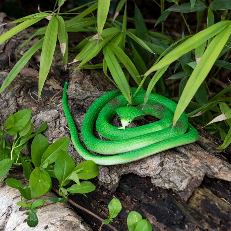 Rex Londres: serpiente de juguete de goma
