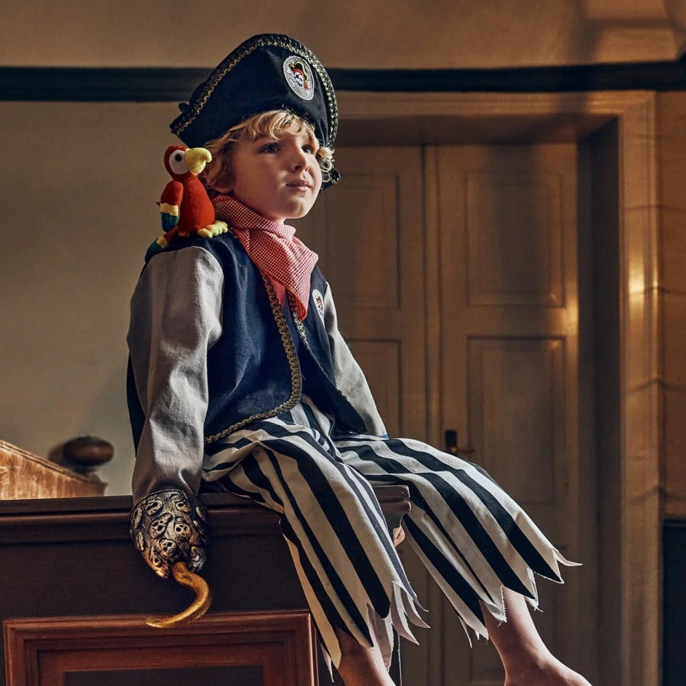 Souza!: Duncan pirate costume