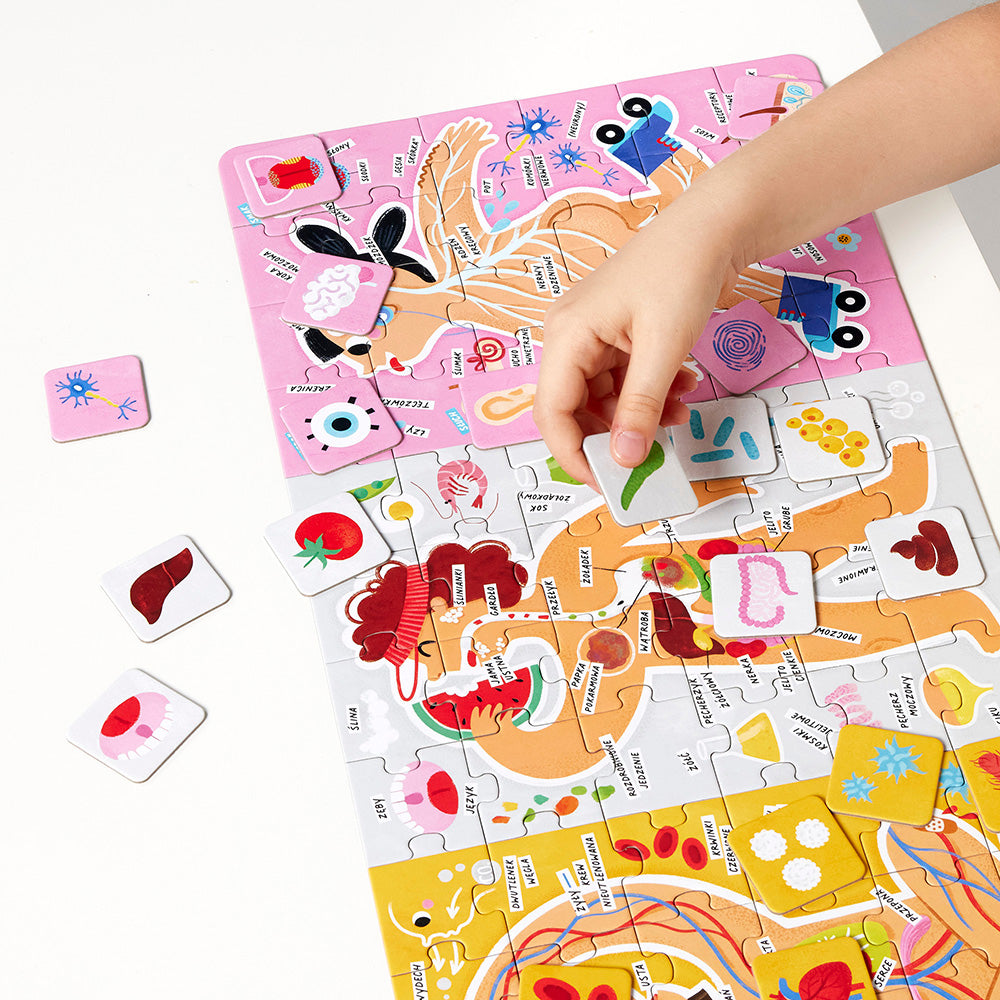 CzuCzu: puzzle Tak działa moje ciało