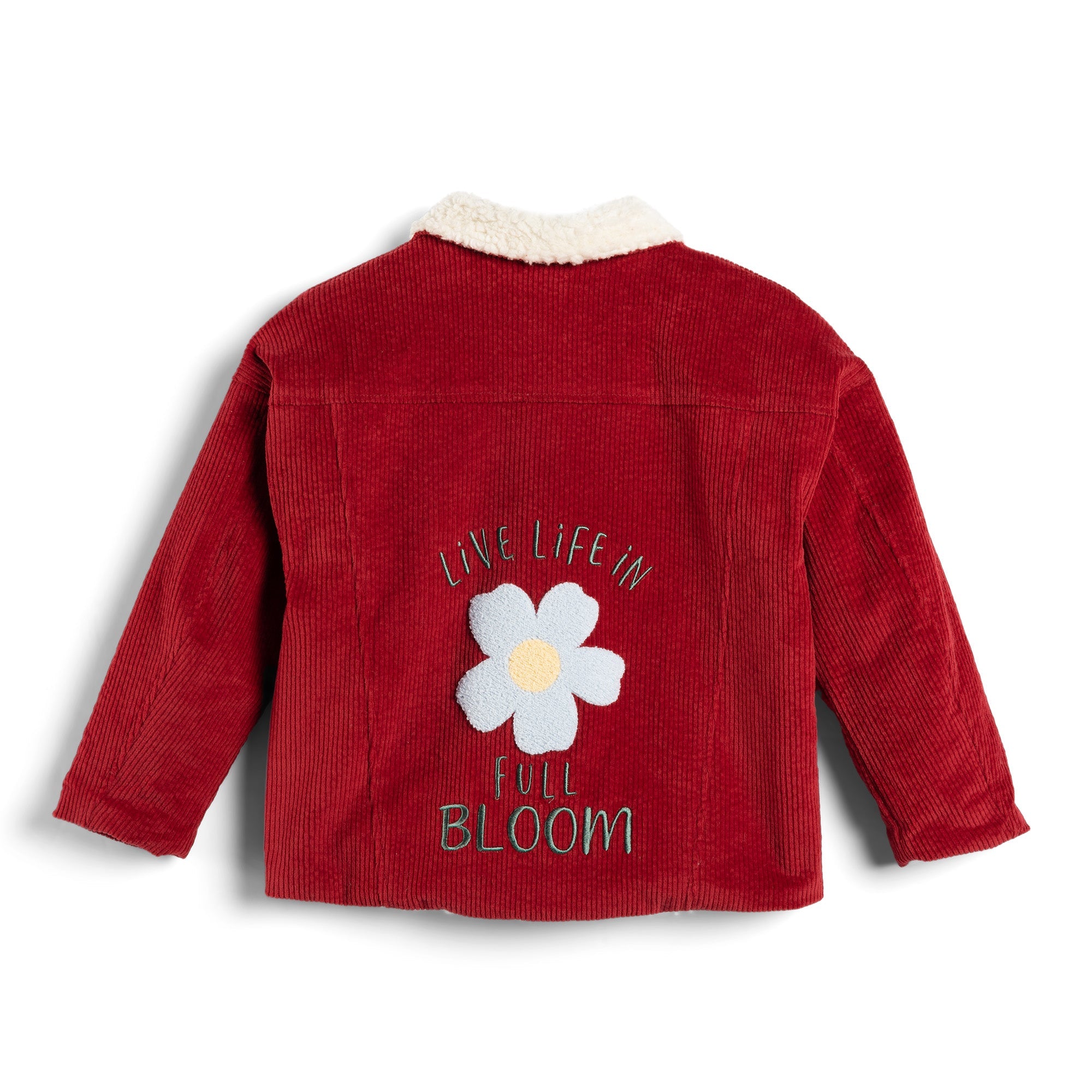 Historia de los niños: chaqueta de pana de flores rojas teddy teddy