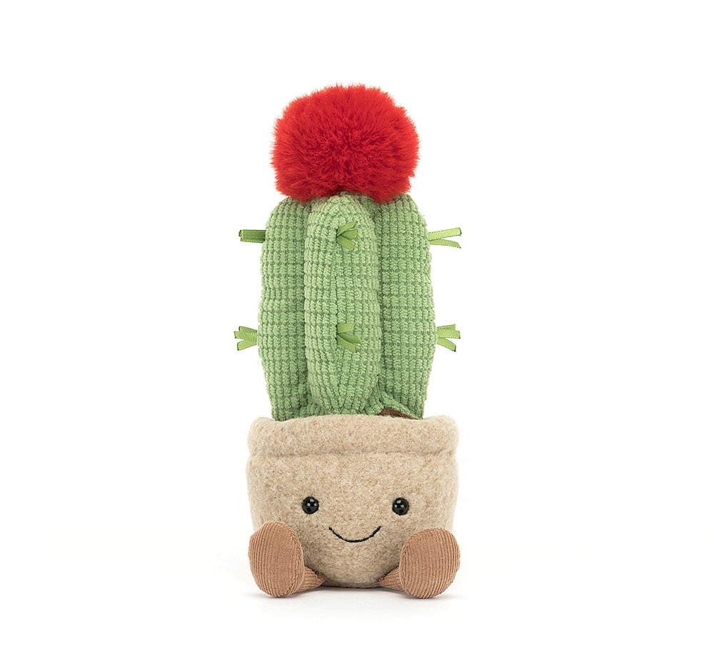 Jellycat: maskotka doniczka Amuseable Moon Cactus 21 cm