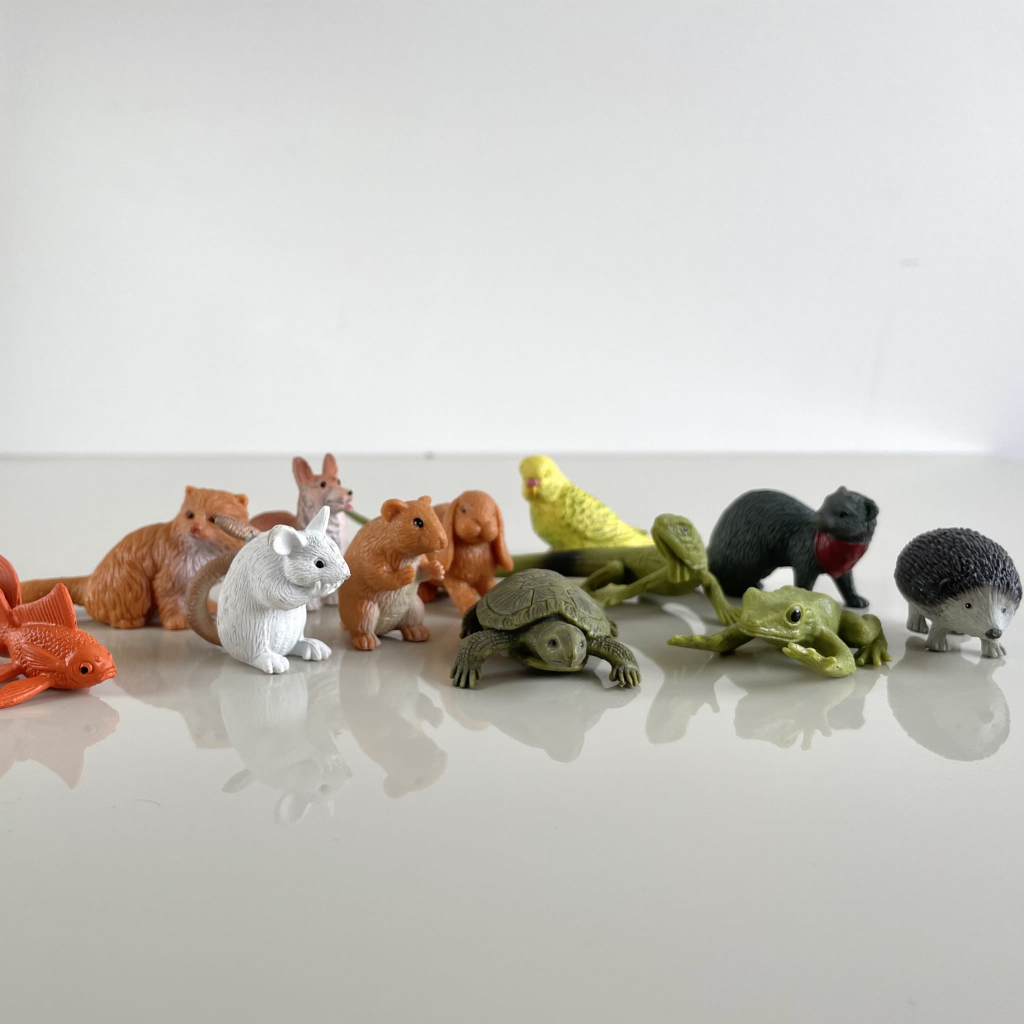 Safari Ltd: Фігурки в трубці домашніх тварин Домашні тварини TOOB 12 PCS.