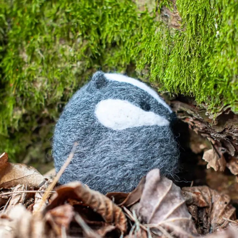 Agna Wool Art: Creative set for dry felting badger