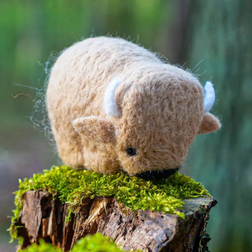 Arte de lana de Agna: set creativo para el fieltro seco bisonte