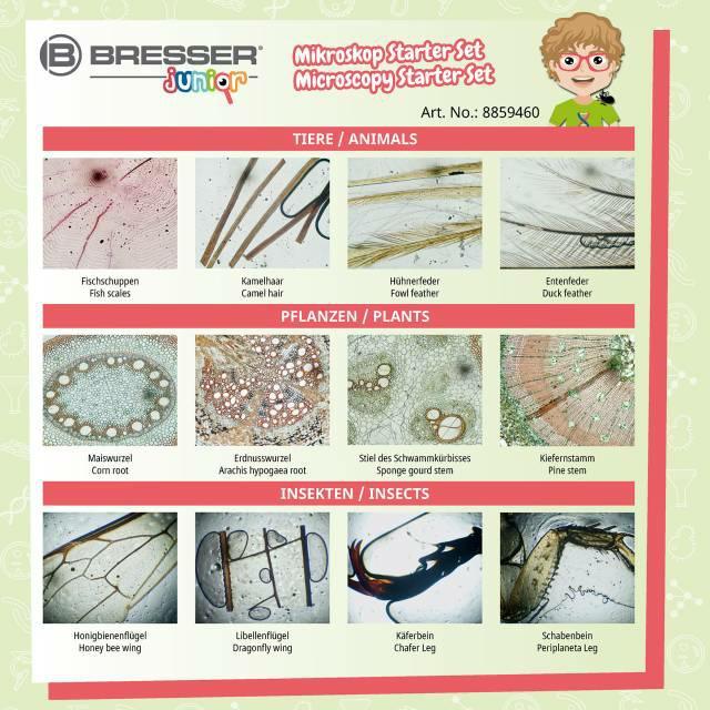 Bresser: preparaty do mikroskopu Microscope Starter Set - Noski Noski