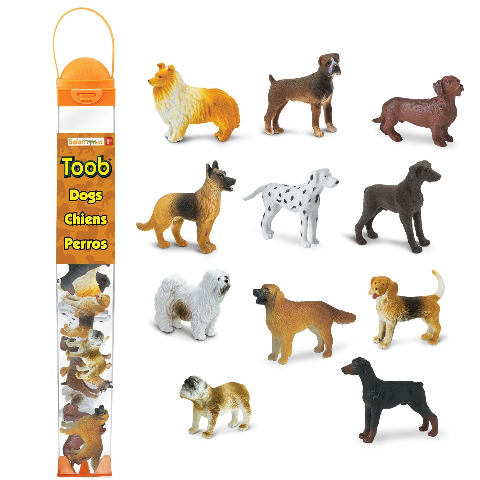 Safari Ltd: Figurines dans Tuba Dogs Dogs Toob 11 PCS.