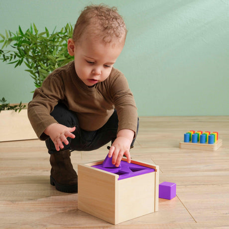 Zabawka edukacyjna Educo Post the Shape sorter rozwija koordynację, precyzję ruchów i rozpoznawanie kształtów u dzieci.