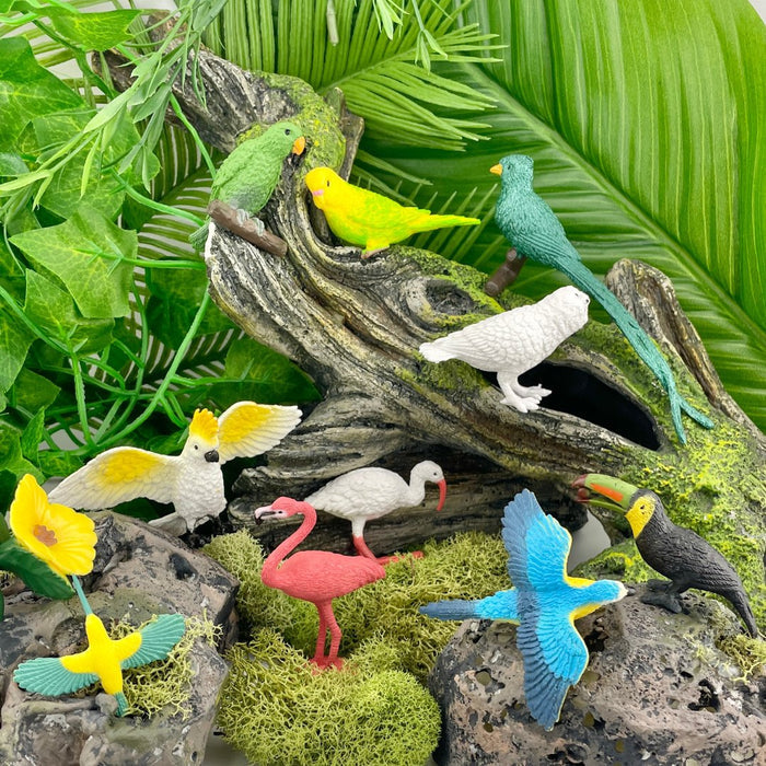 Safari Ltd: Figuras en pájaros tubas pájaros exóticos Toob 11 PC.