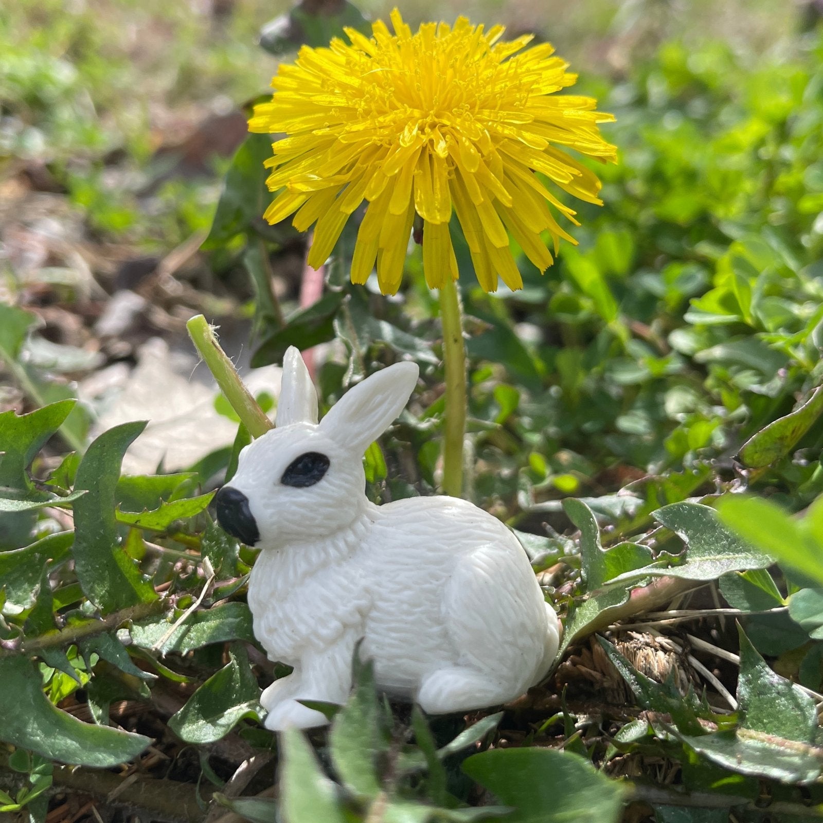 Safari Ltd White Bunny Figurine — My Playroom