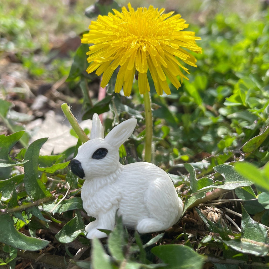 Figurki Zwierząt Domowych Safari Ltd Farm Babies Toob 12 szt.