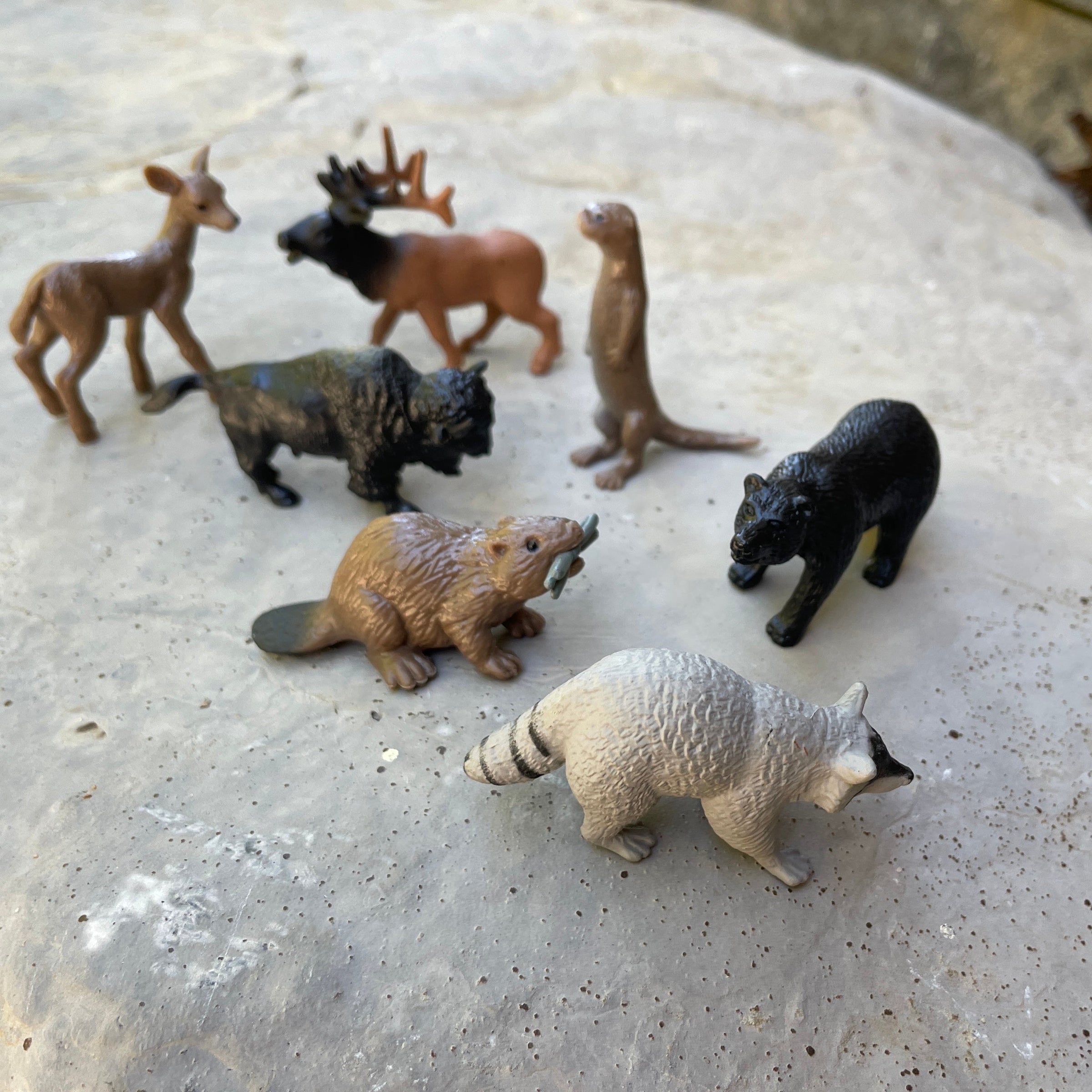Safari Ltd: Figurines dans Tuba Forest Animaux dans les bois Toob 12 PCS.