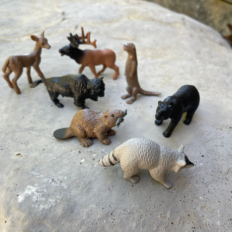 Zestaw realistycznych figurek 12 leśnych zwierząt, edukacyjne zabawki rozwijające wiedzę i wyobraźnię dla dzieci.