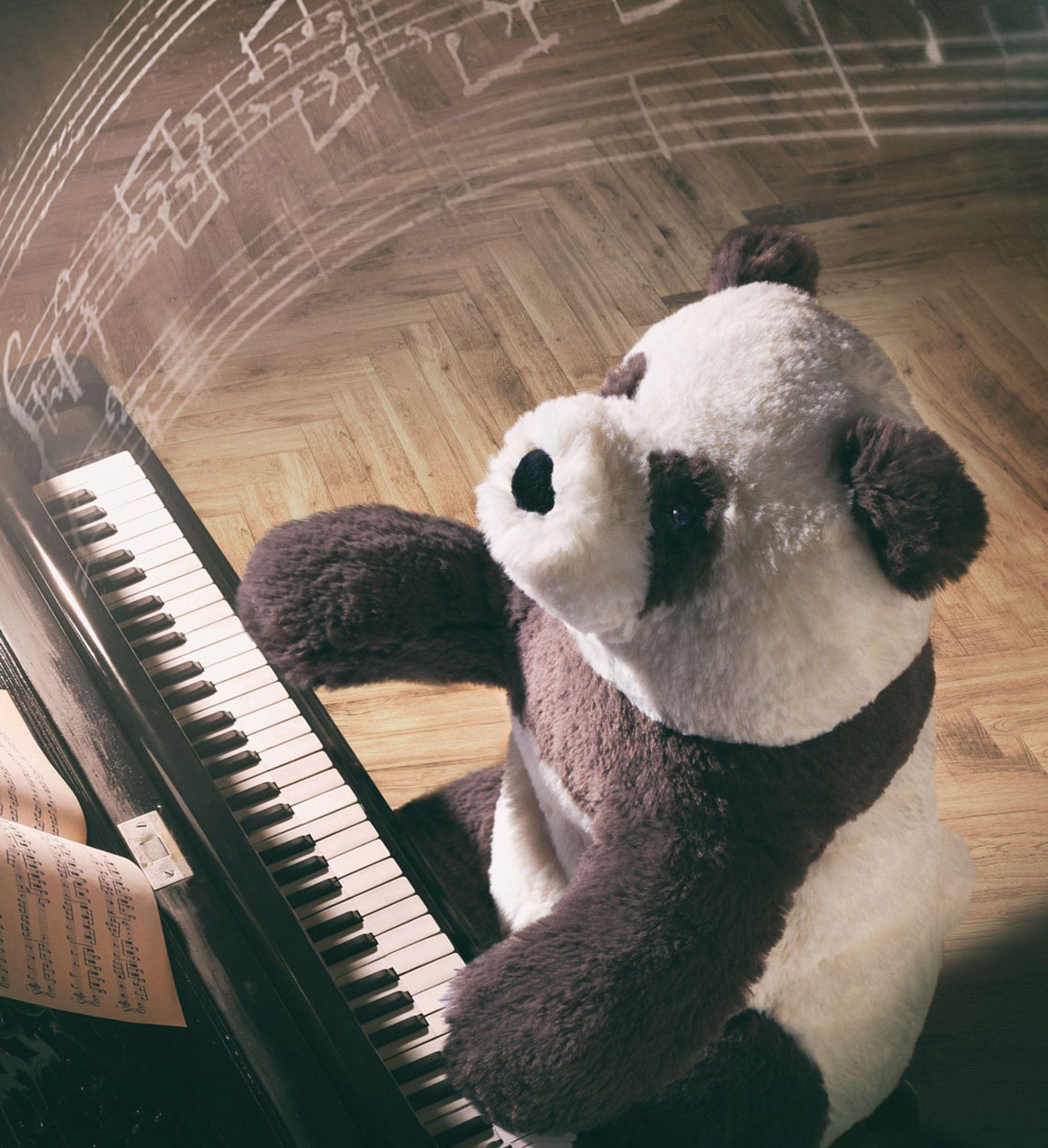 Jellycat: przytulanka miś Harry Panda 36 cm - Noski Noski