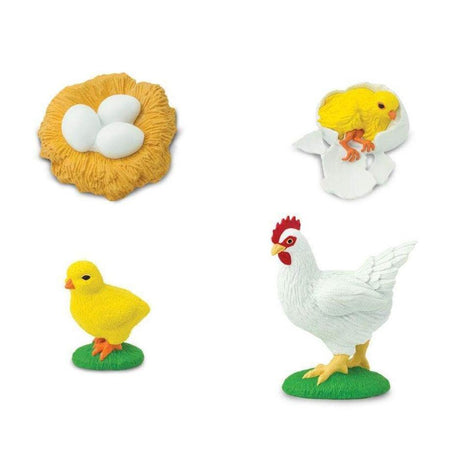Kura Safari Cykl Życia: 4 figurki - od jajka, przez pisklę i kurczaczka, aż po dorosłą kurę, z niezwykłymi detalami.