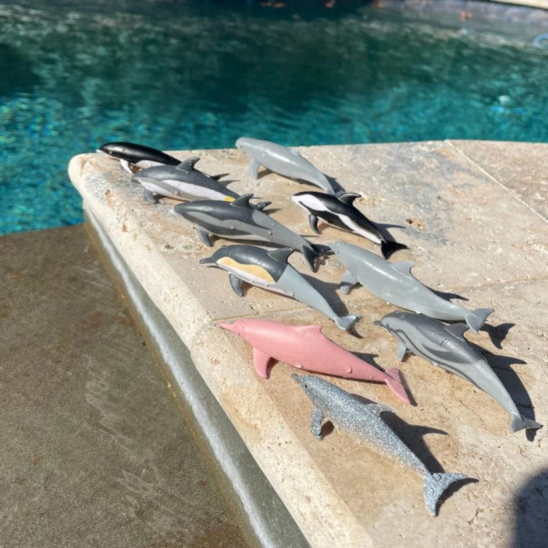 Safari Ltd: figurines in the tube of dolphins toob 10 pcs.