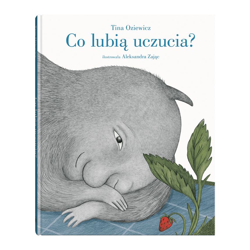 Wydawnictwo Dwie Siostry: Co lubią uczucia? - Noski Noski