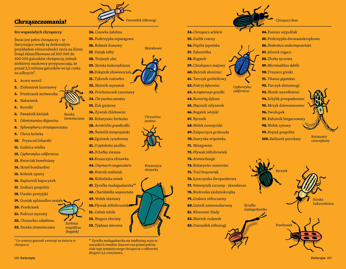 Wydawnictwo Kropka: Faktomania. 300 list dla maniaków wiedzy - Noski Noski