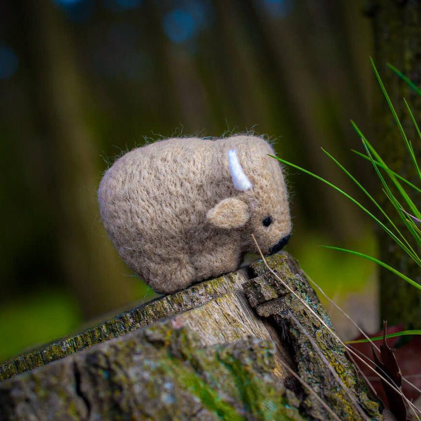 Agna Wool Art: zestaw kreatywny do filcowania na sucho Żubr - Noski Noski