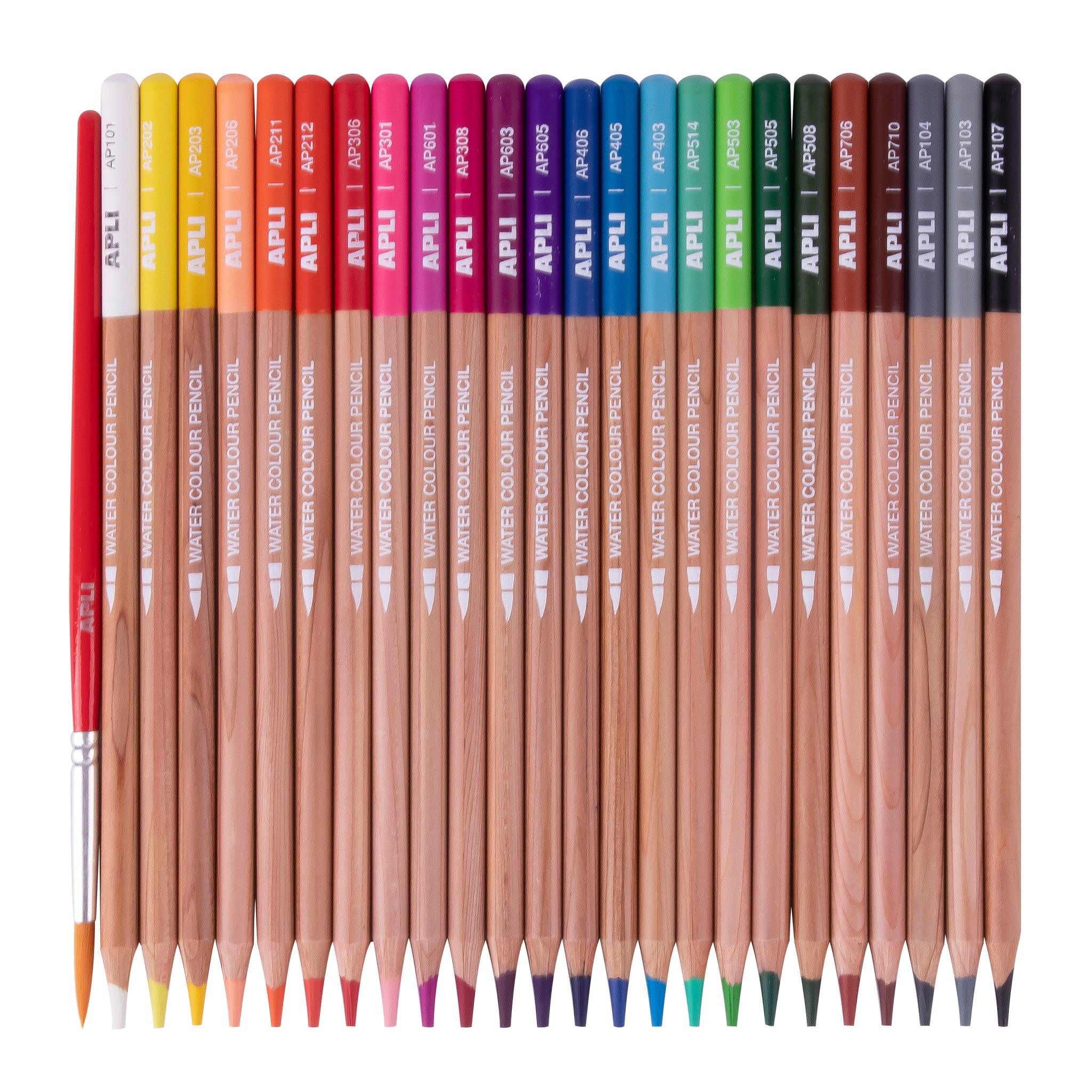 Apli Kids: kredki akwarelowe z pędzelkiem Color Pencils 24 kolory - Noski Noski
