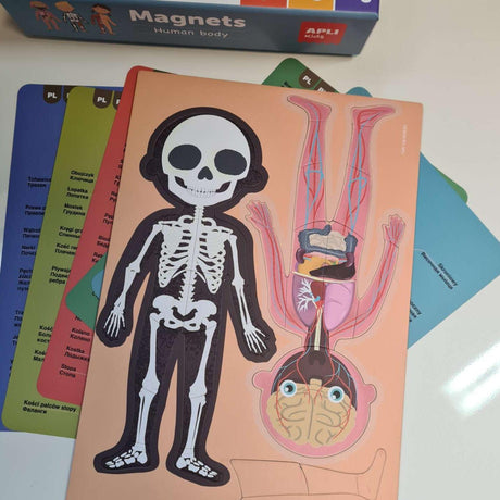 Apli Kids: magnetyczna układanka Ciało Człowieka - Noski Noski