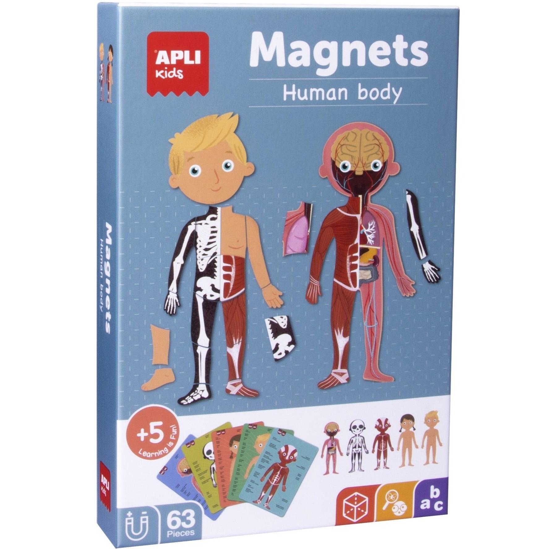 Apli Kids: magnetyczna układanka Ciało Człowieka - Noski Noski