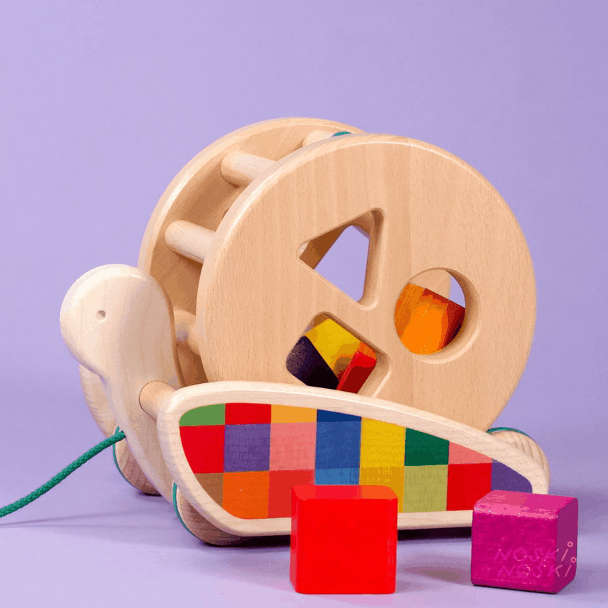 Bajo: sorter na kółkach ślimak Snail Sort Roller - Noski Noski