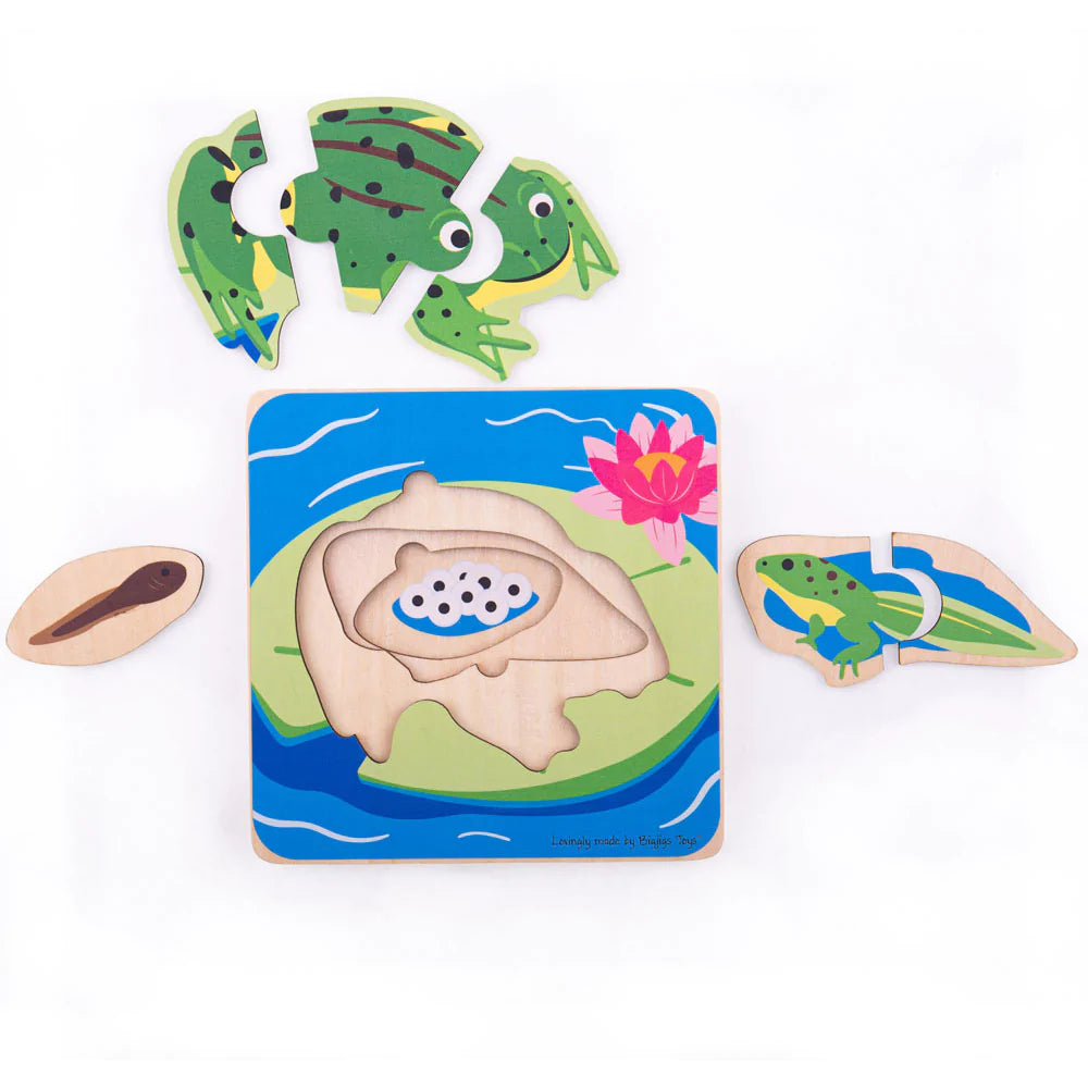 Bigjigs Toys: drewniane puzzle warstwowe żaba Lifecycle Layer Puzzle - Noski Noski