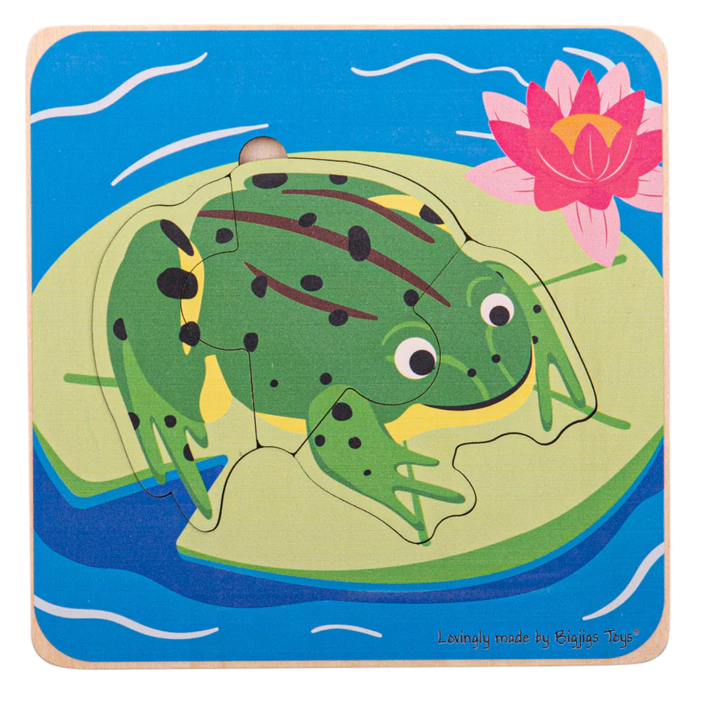 Bigjigs Toys: drewniane puzzle warstwowe żaba Lifecycle Layer Puzzle - Noski Noski