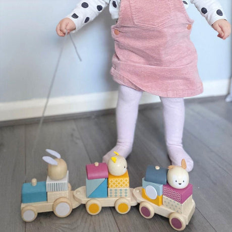 Bigjigs Toys: pociąg z klockami Pull Along Train - Noski Noski