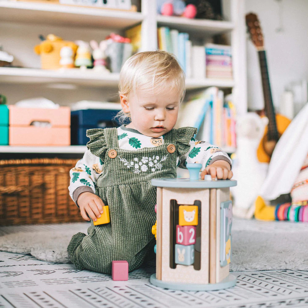 Bigjigs Toys: walec aktywnościowy Rolling Activity Centre - Noski Noski