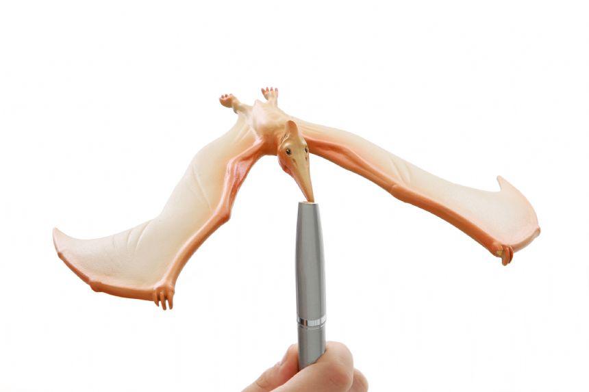 Brainstorm Toys: balansujący dinozaur Pteranodon - Noski Noski