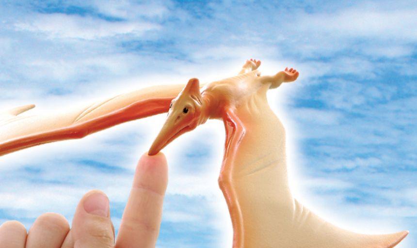 Brainstorm Toys: balansujący dinozaur Pteranodon - Noski Noski