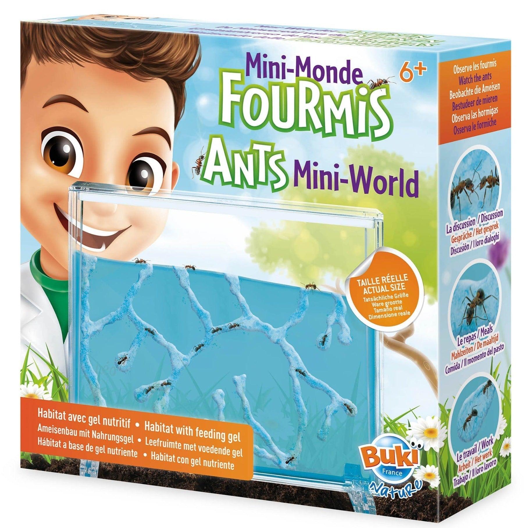 Buki: formikarium dla mrówek Ants Mini World - Noski Noski