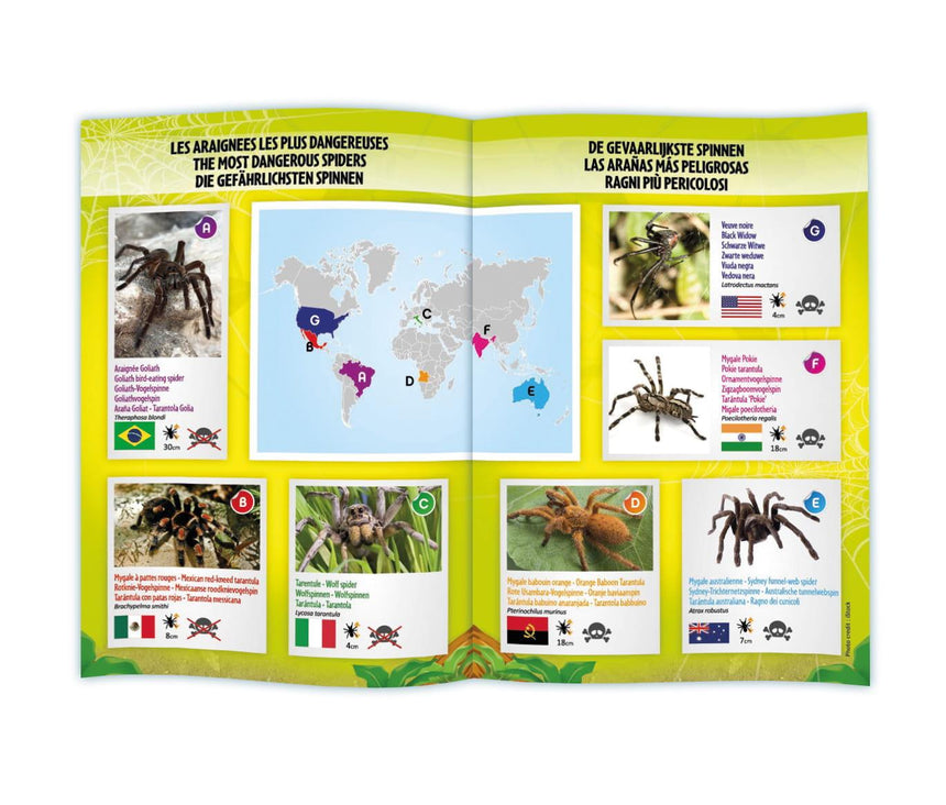 Buki: zdalnie sterowany pająk RC Tarantula - Noski Noski