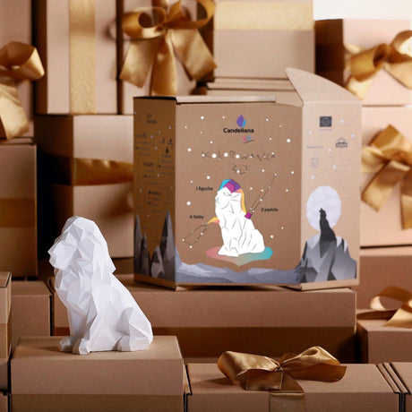 Candellana Kids: kolorowanka 3D Lion Low Poly - Noski Noski